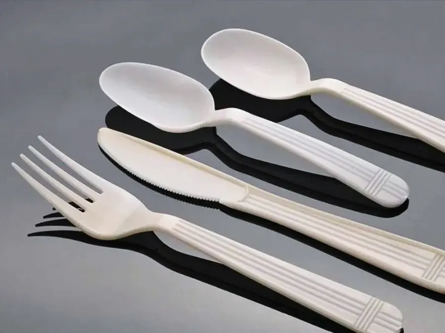 Biodegradable Cutlery Spoon