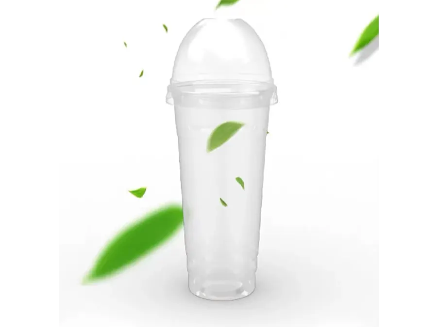 Biodegradable Cup